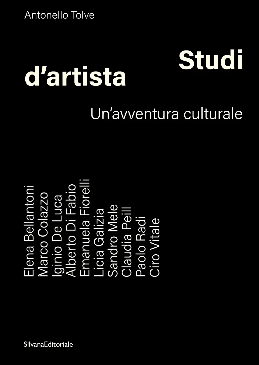 Studi d'artista. Un'avventura culturale