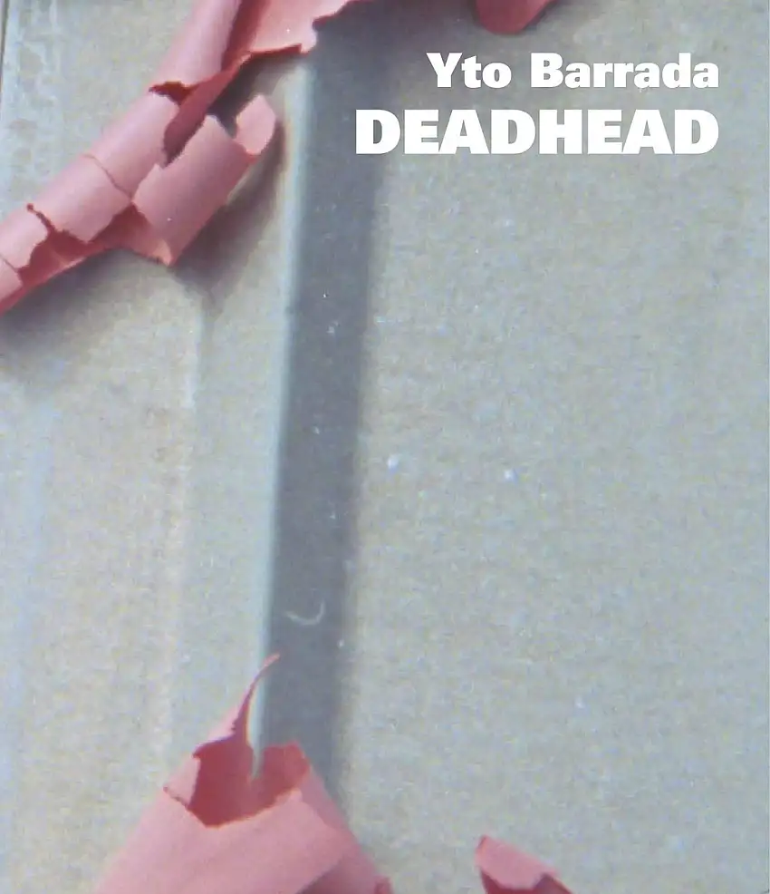Yto Barrada. Deadhead