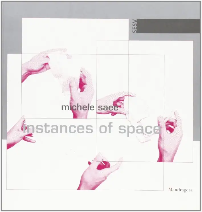 Michele Saee. Instances of space. Catalogo della mostra