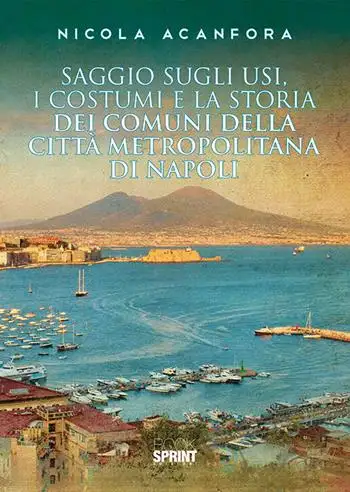 Saggio sugli usi, i costumi e la storia dei comuni della città metropolitana di Napoli