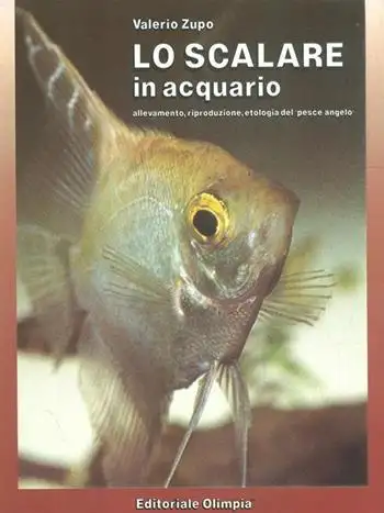 Lo scalare in acquario